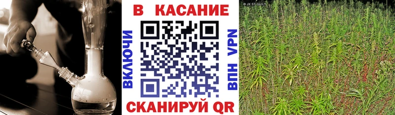 Где купить наркоту Уржум гидра как войти  АМФ  Мефедрон  ГАШИШ  Бошки Шишки  А ПВП  Бутират 