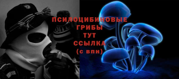 ПСИЛОЦИБИНОВЫЕ ГРИБЫ Абдулино