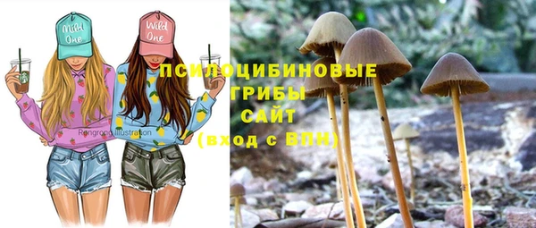 мет Абаза